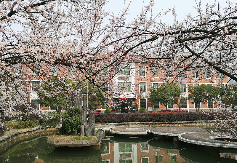 1590543732203916.jpg 1589243460516375.jpg